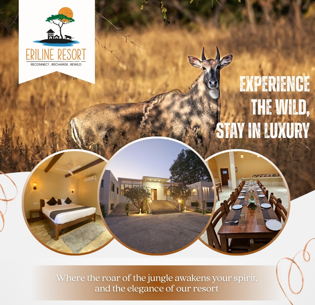 Diverse wildlife spotted during a Best Jungle Safari in Panna National Park.