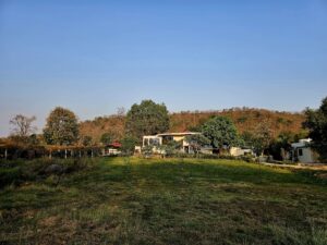 Panna wildlife adventure package